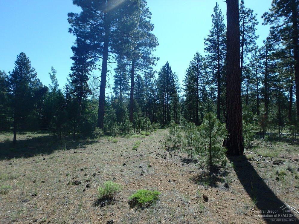 Build your dream home on this beautiful .63 acre property with large, mature Ponderosa trees in the desirable neighborhood of Tollgate. Tollgate amenities include swimming pool, tennis courts, walking/biking paths, easy access to National Forest lands and large common areas.