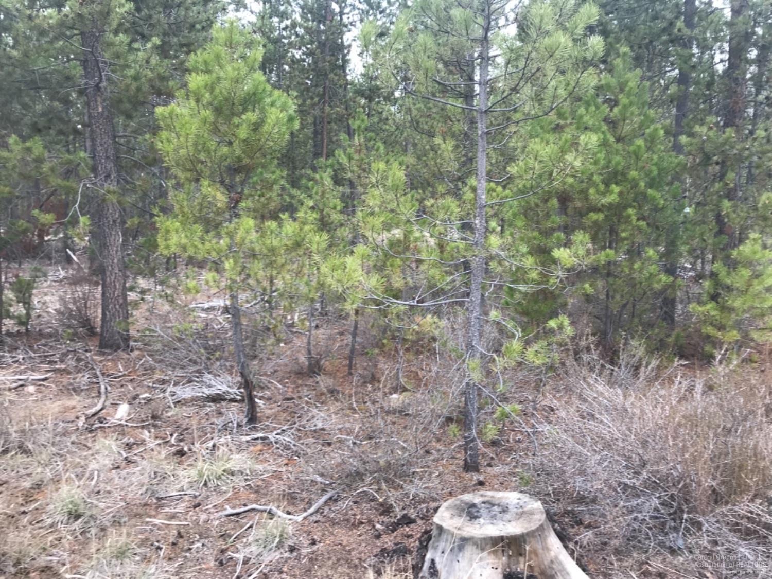 Hinkle Park - Land