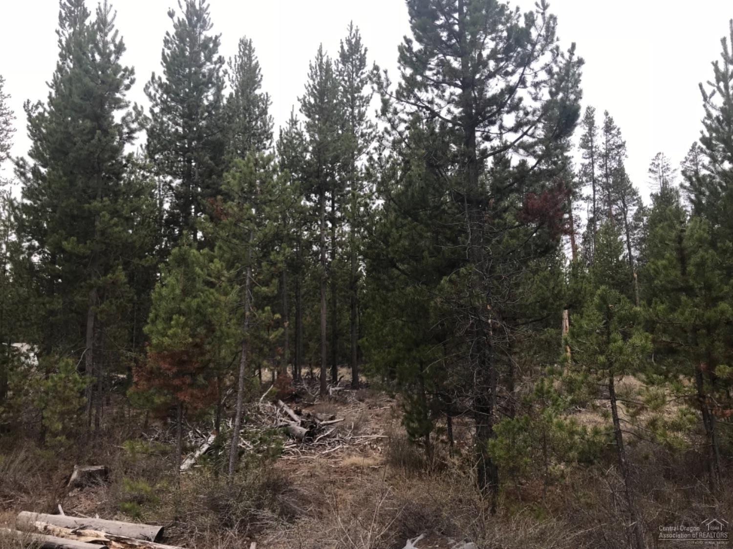 Hinkle Park - Land