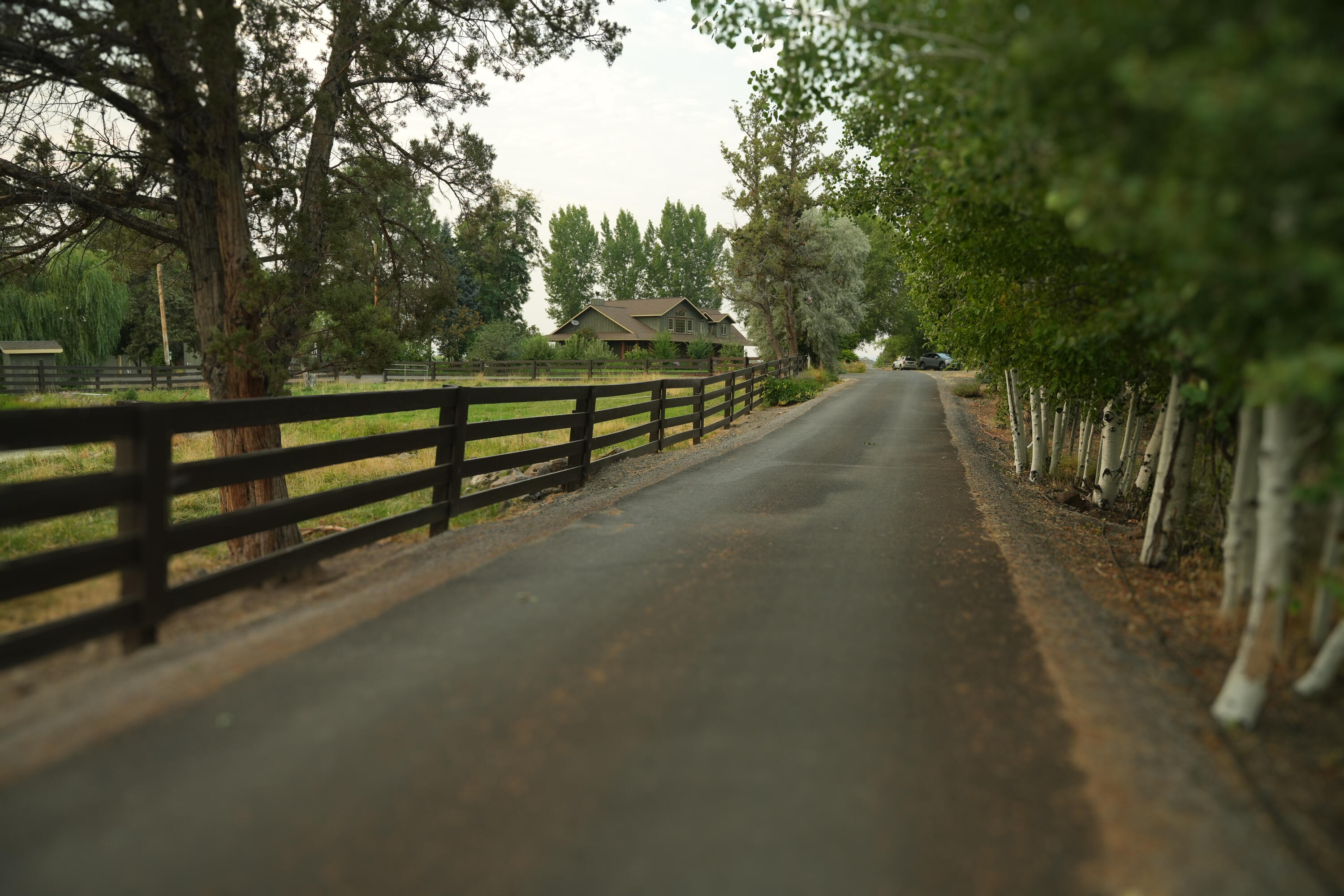 N/A - Farm