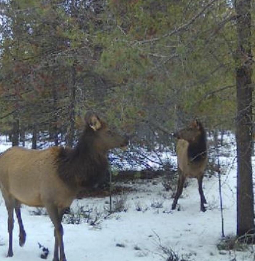 N/A - Land