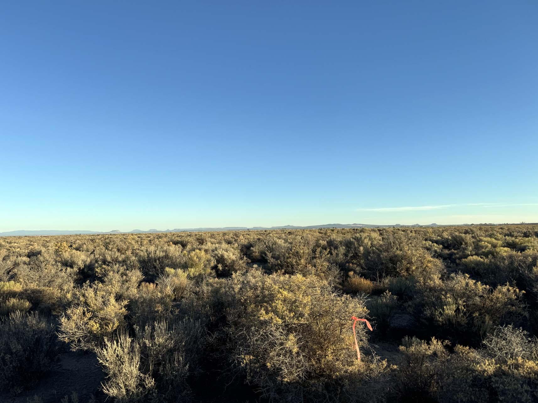 N/A - Land