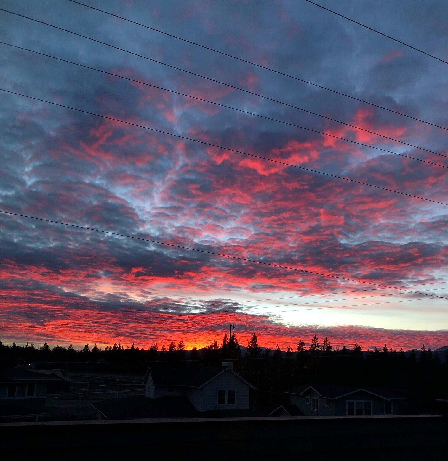Shevlin Estates - Residential