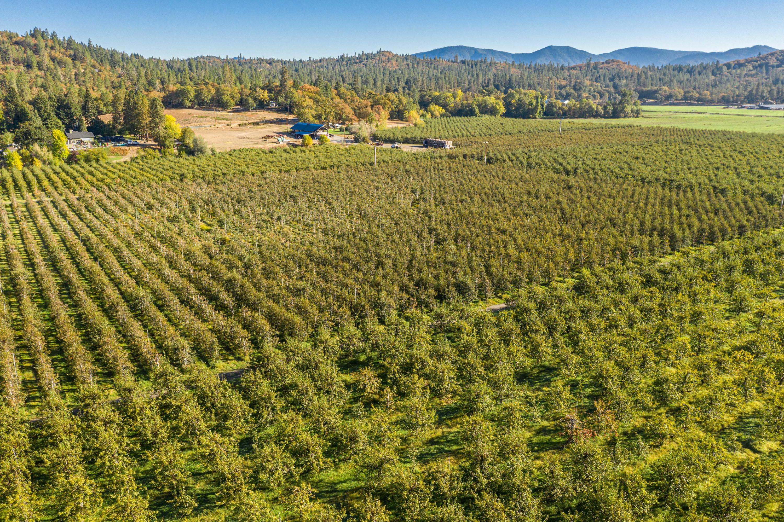 N/A - Farm