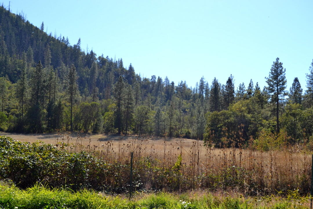 N/A - Farm