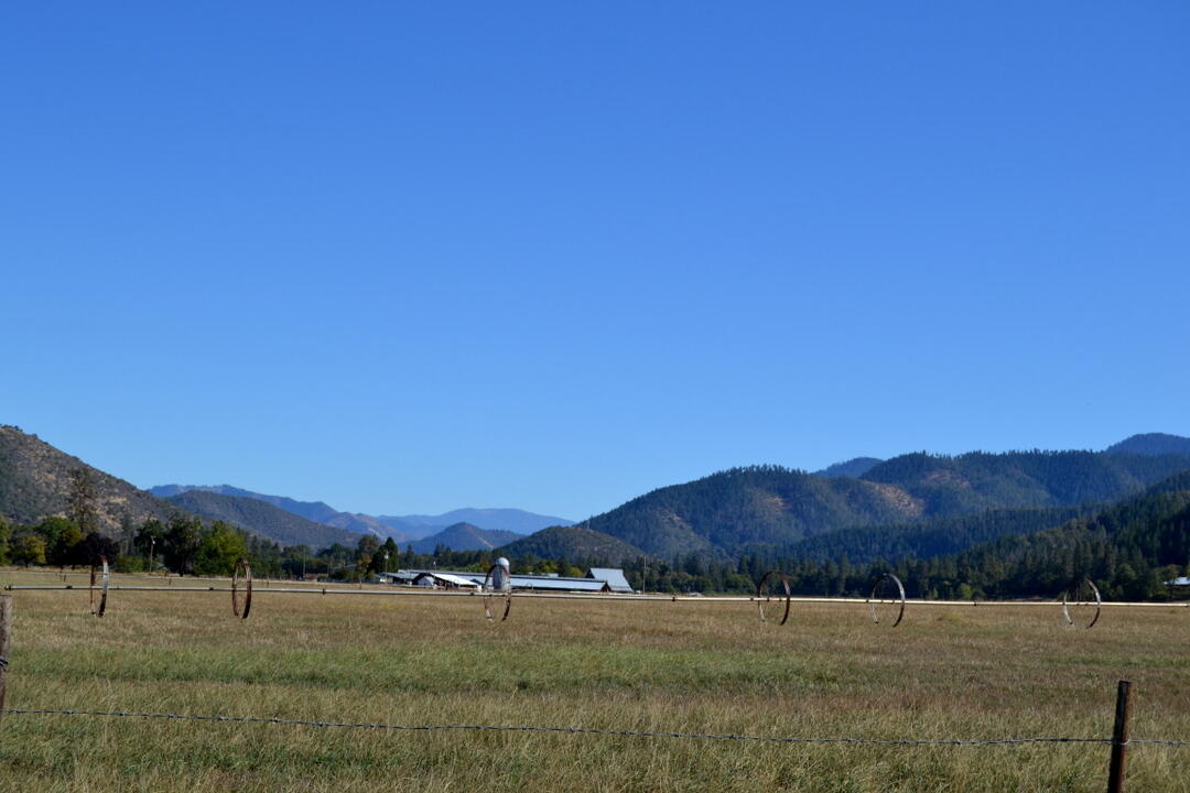 Tucked away in the heart of the Applegate Valley, this 171-acre legacy farm offers the kind of lifestyle few get to experience. Rolling fields, fertile Class I & II soils, and irrigation from the Applegate River create a setting of natural abundance. Multiple homes and an additional homesite across two parcels make it perfect for multi-generational living or those seeking a balance between work and retreat. With 90 acres of irrigated pasture, over 30,000 sq. ft. of farm buildings, and a large CAFO, it's built for serious agricultural pursuits while offering serenity and space to breathe. The main home features 4 bedrooms and 3 baths—ready for your personal touch—while a 644 sq. ft. guest home welcomes extended family or guests. A rare chance to own a true countryside sanctuary where productivity and peace coexist in perfect harmony.