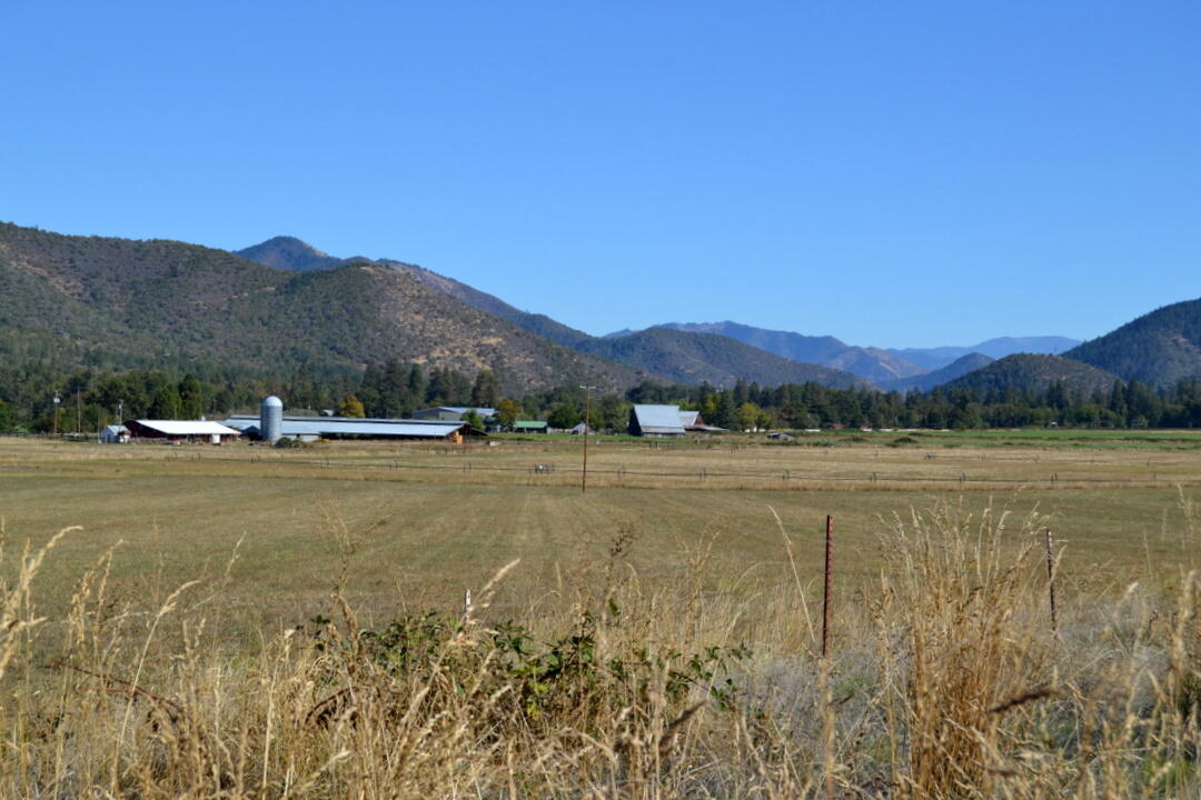 N/A - Farm
