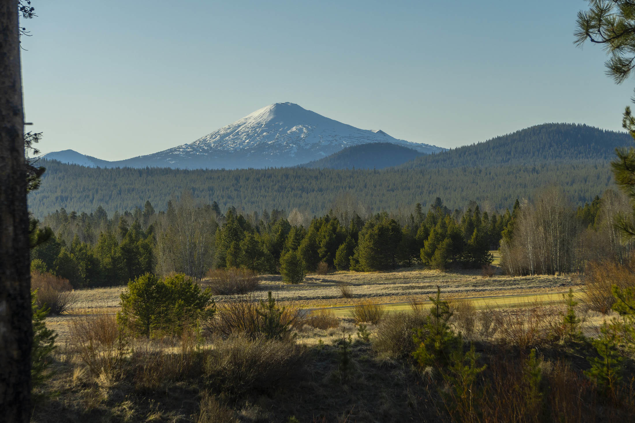 High mountain luxury in Caldera Springs with Mt. Bachelor views! Resting on over three-quarters of an acre, 320 Trailmere Circle welcomes you with live edge siding, tumbled travertine flooring, a beautiful stone fireplace, exposed trusses, and a gourmet kitchen/dining area. There are two Primary Suites on the main floor. The larger Primary Suite is oversized with a fireplace, his and hers walk-in closets, and an incredible spa-like bath with a deep soaking tub, large tiled shower with two heads and an impressive double vanity.
The kitchen features a 6-burner gas cooktop with a pot filler plumbed above and a custom hood. There is a very large bonus/media room above the 3-car garage and a large utility/mudroom. Downstairs, there is another bonus area with a paver patio and hot tub. Plus two comfortably-sized bedrooms and two full baths. Wine cellar too! This home has been thoughtfully sited to take advantage  of the panoramic views. Call or email today for a  private showing.
