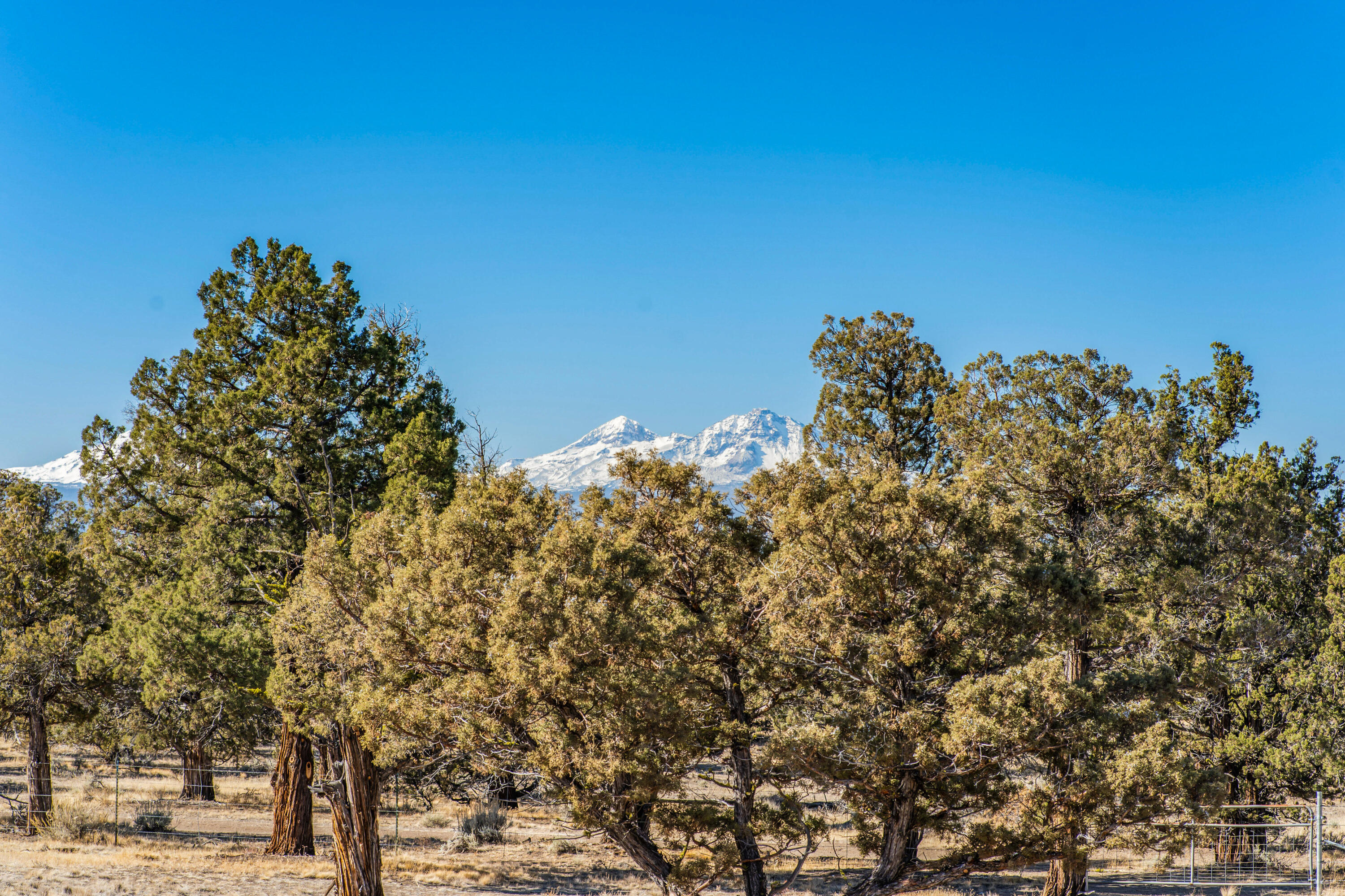 Ridge At Eagle Crest - Residential
