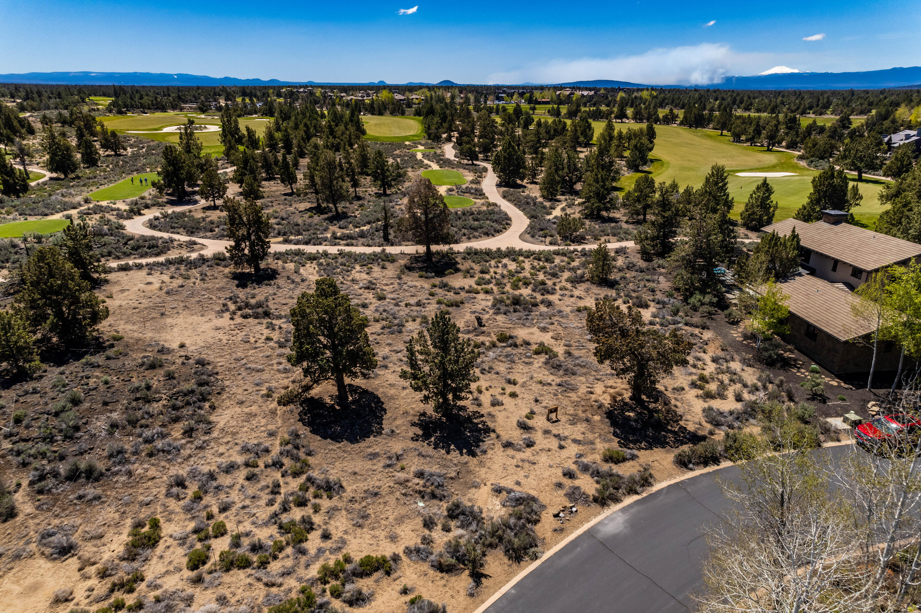 Pronghorn - Land