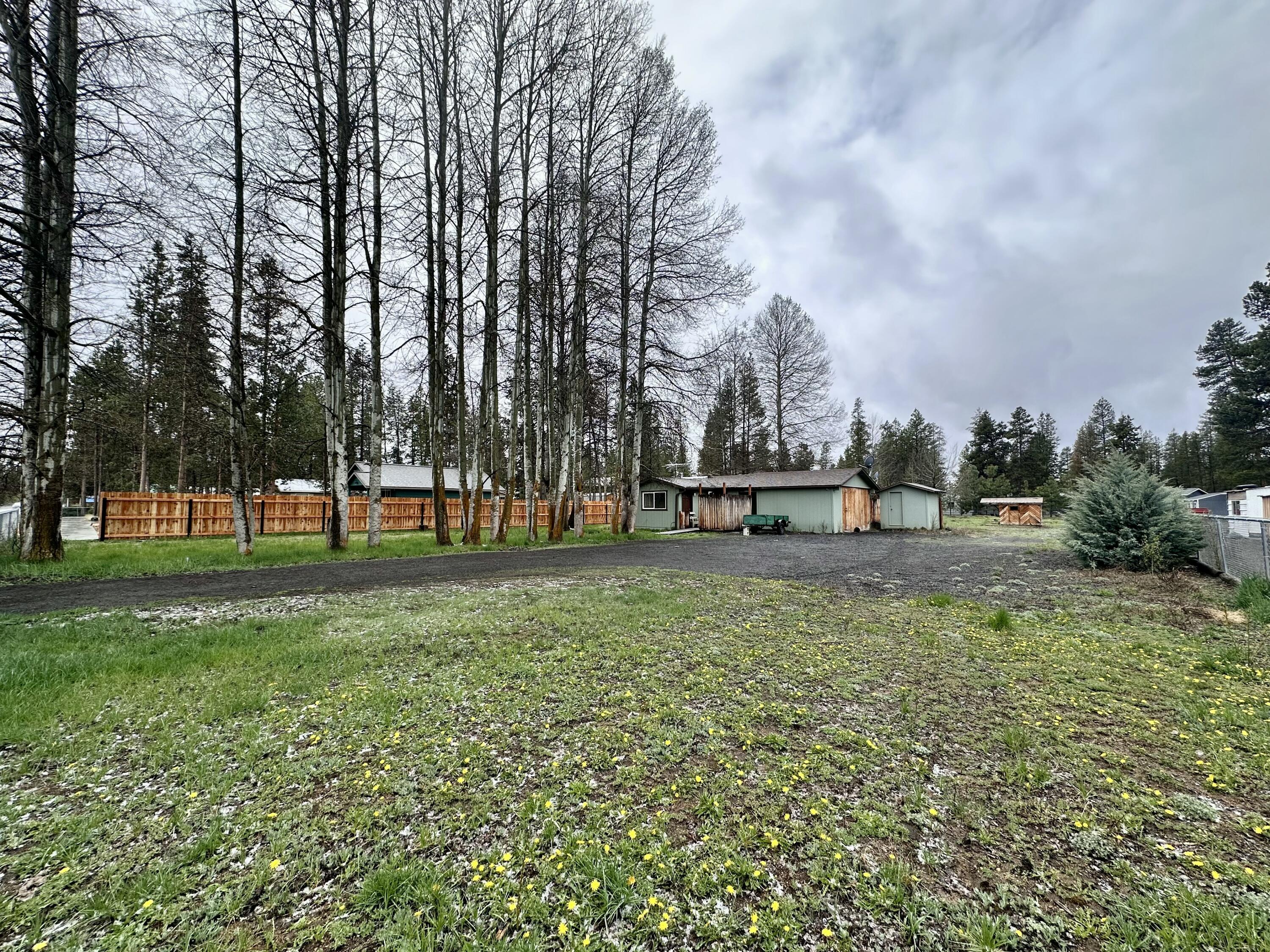 Ponderosa Pines - Residential