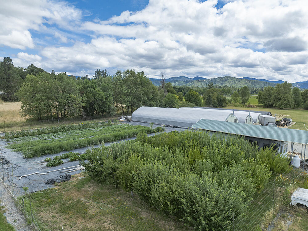 N/A - Farm