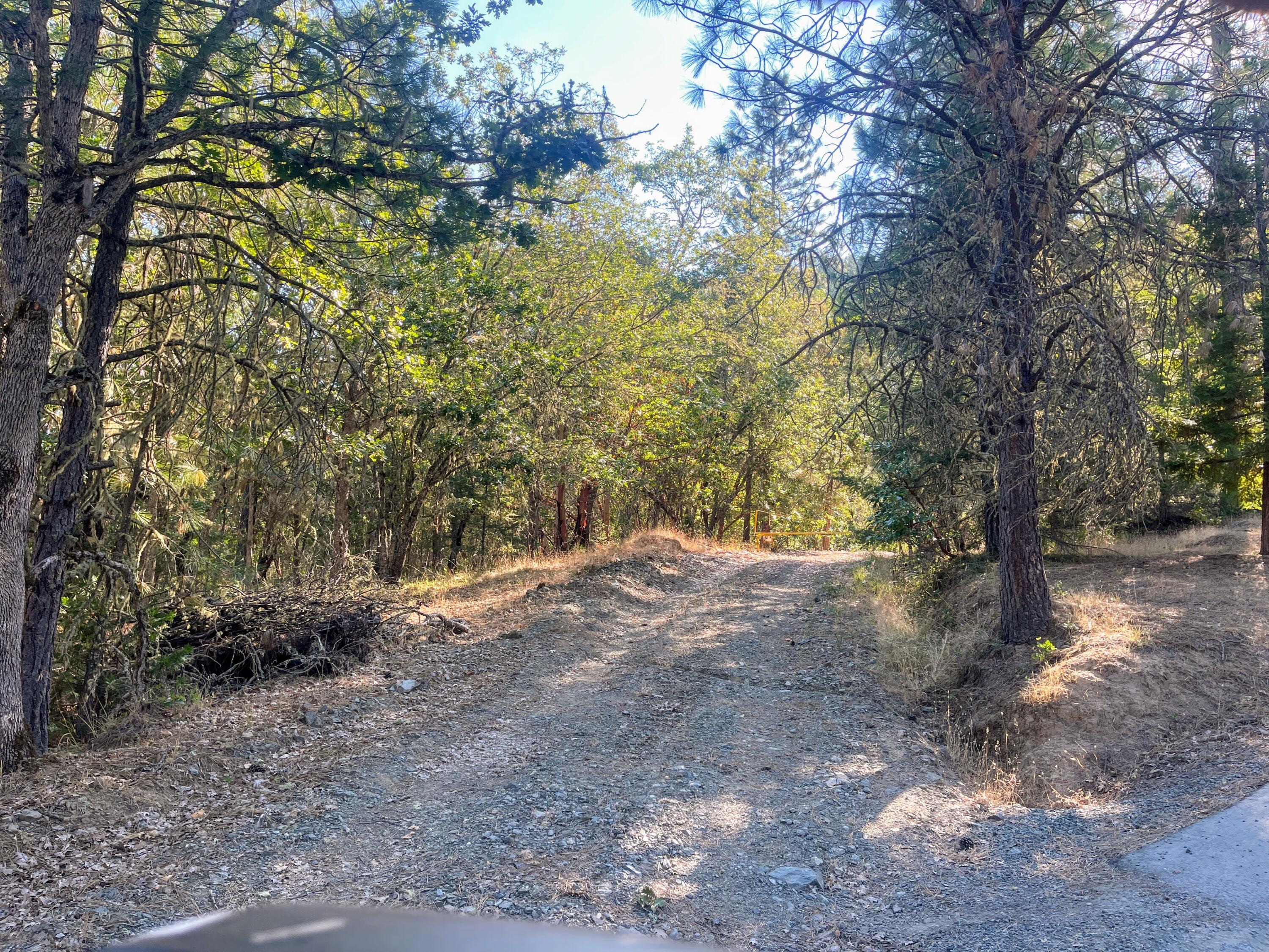 Here's an opportunity to have your home perched in a private setting. This 41 acres offers deeded access from Savage Creek Rd. There is a leveled off area for a potential home site. Zoning is WR. This rural area affords convenient access to the freeway and a short drive to the town of Rogue River or Grants Pass. Adjoins over 900 acres of Federal BLM land.