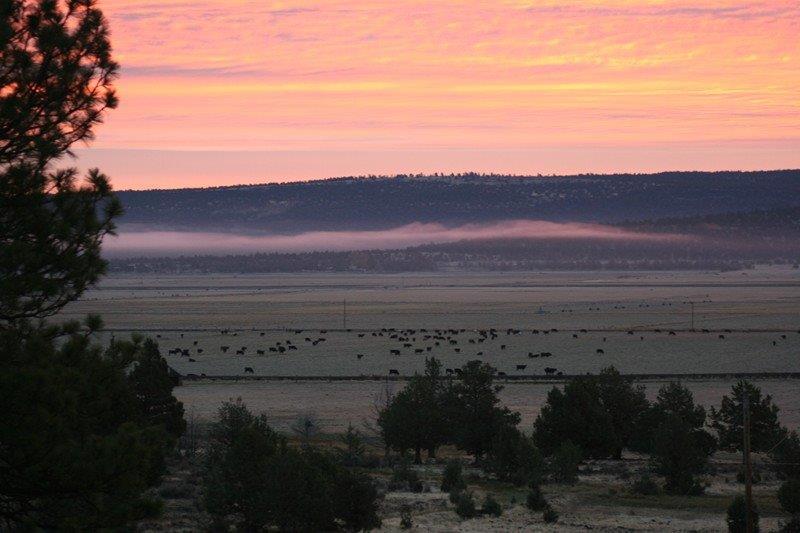 855 acre ranch with 652 acres irrigated in native grass for hay and grazing livestock. Has a sizeable amount of marketable timber on the property. A paved county road runs through the ranch with school bus service at the mailbox. 541 acres irrigated from Langell Valley Irrigation District. Property boasts a quality custom stick built 4 bedroom 3 bath home, metal pole hay barn, corrals, electronic scale, hydraulic chute and a second hay/commodity barn with concrete floor. The present owners have added a 4800 sq. ft. shop and 73' x 90' tent structure as an indoor riding arena. The home has a new roof, new range, dishwasher, refrigerator, and freezer as well as a new central heat and air with humidifier system. The property has been fenced into 17 separate pastures. Has a newer 2500 GPM well with 75 Hp. Motor, 3 new pivots and on the flood irrigated portion all new head gates, underground mainline and risers.