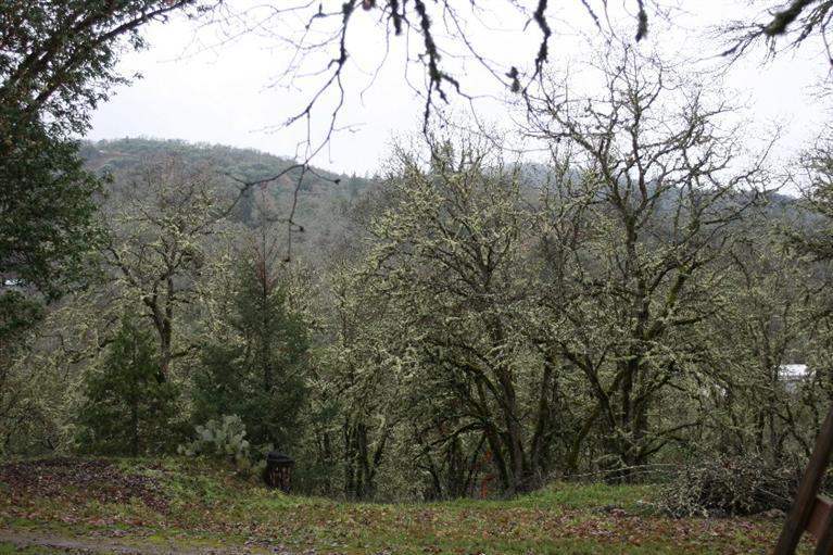 An amazing opportunity! 6.5 acres with 2 mobiles and the possibility of additional units per the county. UR1 zoning, 2 septic systems, a garage/shop and an additional non-permitted unit. Units rent for $600 and $525 and rents have never been raised. Third unit is block, metal roof and is a one bedroom/one bath updated cottage. Property sits at the top of the hill, has a circular driveway, seasonal pond and garden spot. Per the county, there is a possibility of additional permitted units. This property would be great for a two or more family set-up, investment unit property and many other home businesses. Check the UR1 zoning for possible uses. Owner will carry with at least $50,000 down.