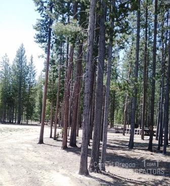 Tall Pine Estates - Residential