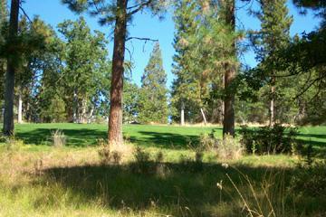 Lovely Homesite On Merganser, Ph2. Backs On 6th Fairway. Cc&R's On File. Priced Below Assessed Value.