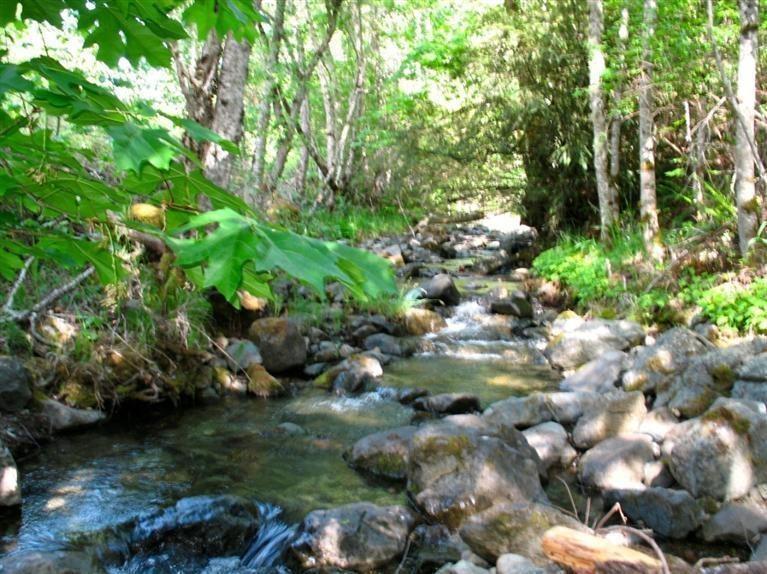 Beautiful 10.24 acres. Close to BLM property, great for people who love to go horse back riding. Year round Jack Creek and a seasonal creek. Build your dream home and enjoy life. This property is mostly treed, w/some open, sunny grassy areas. Well on property was 18 gpm bail tested when drilled. See water well report attached. Must see to enjoy this beautiful property. Go to the RE/Max Sign. Property is on both sides of the road where the sign is. Seller has done some preliminary work on obtaining a forest dwelling permit. See attached map for the property in order to locate parts of this land. All info deemed accurate but not guaranteed and subject to change. Buyers to do their own due diligence with the county on homesite and zoning, etc.