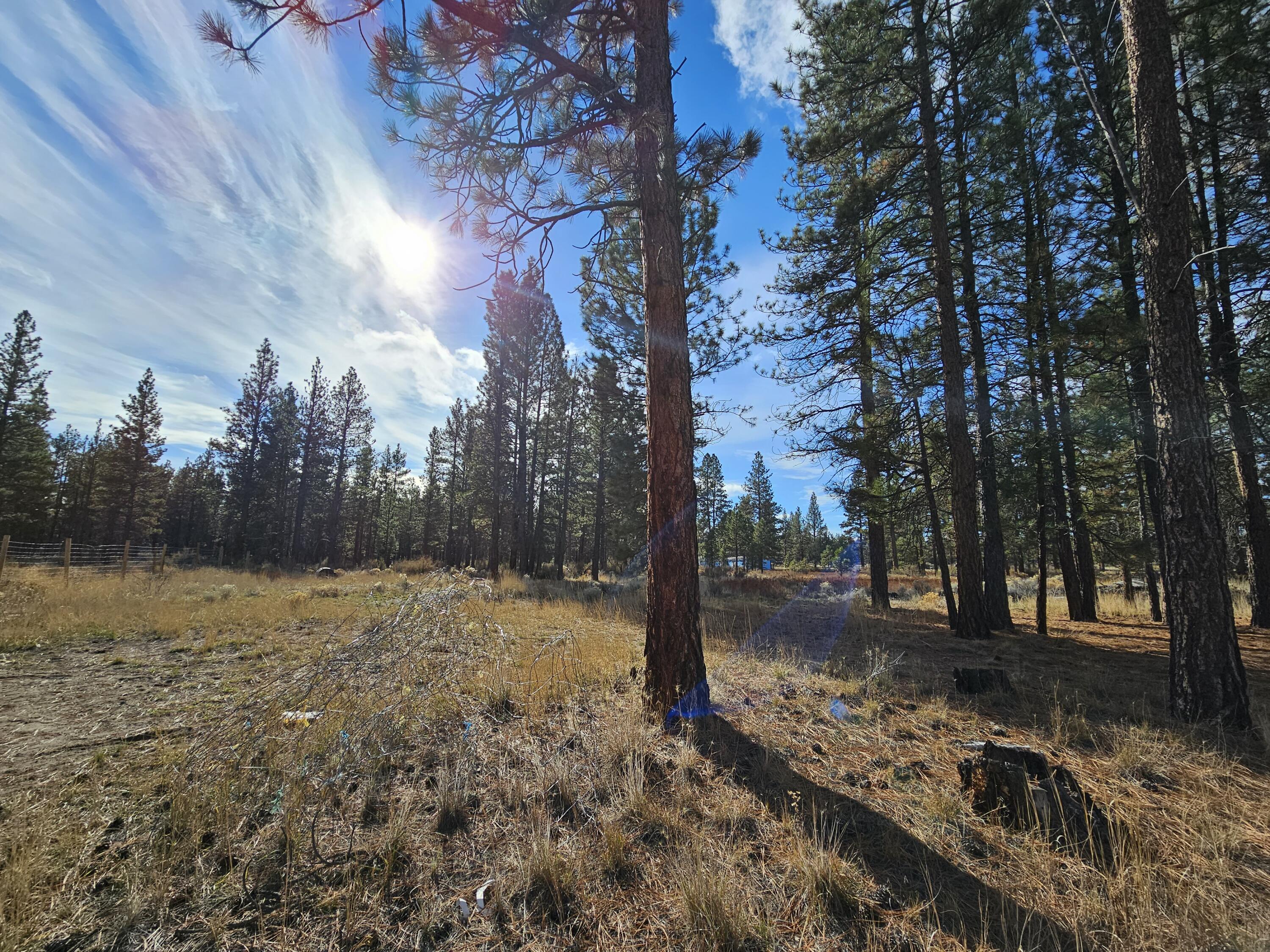 Klamath Falls Forest Estates -Hwy 66 Unit -Plat No. 2 - Land