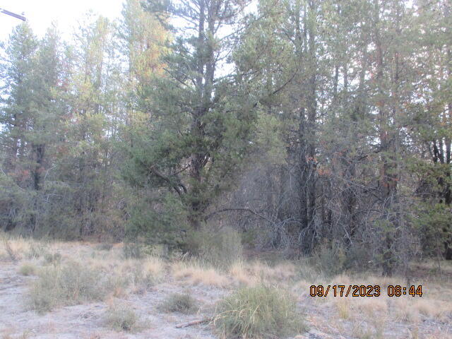 Mt. Scott Meadow - Land