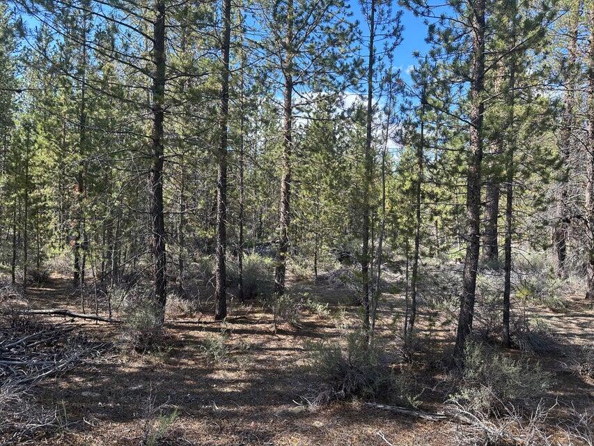 Wouldn't you like to own 38 acres of private recreational land in the Fort Rock unit surrounded by the Oregon Forest? This property offers unrestricted access to thousands of acres of public recreational land for hiking, biking, ATV riding, hunting, fishing and more. The area is known for abundant deer, elk, and other wildlife. Although the property is isolated, access to grocery stores and restaurants are nearby.  Don't miss out on this great opportunity, Klamath County's Real Market Value is over $500,000.