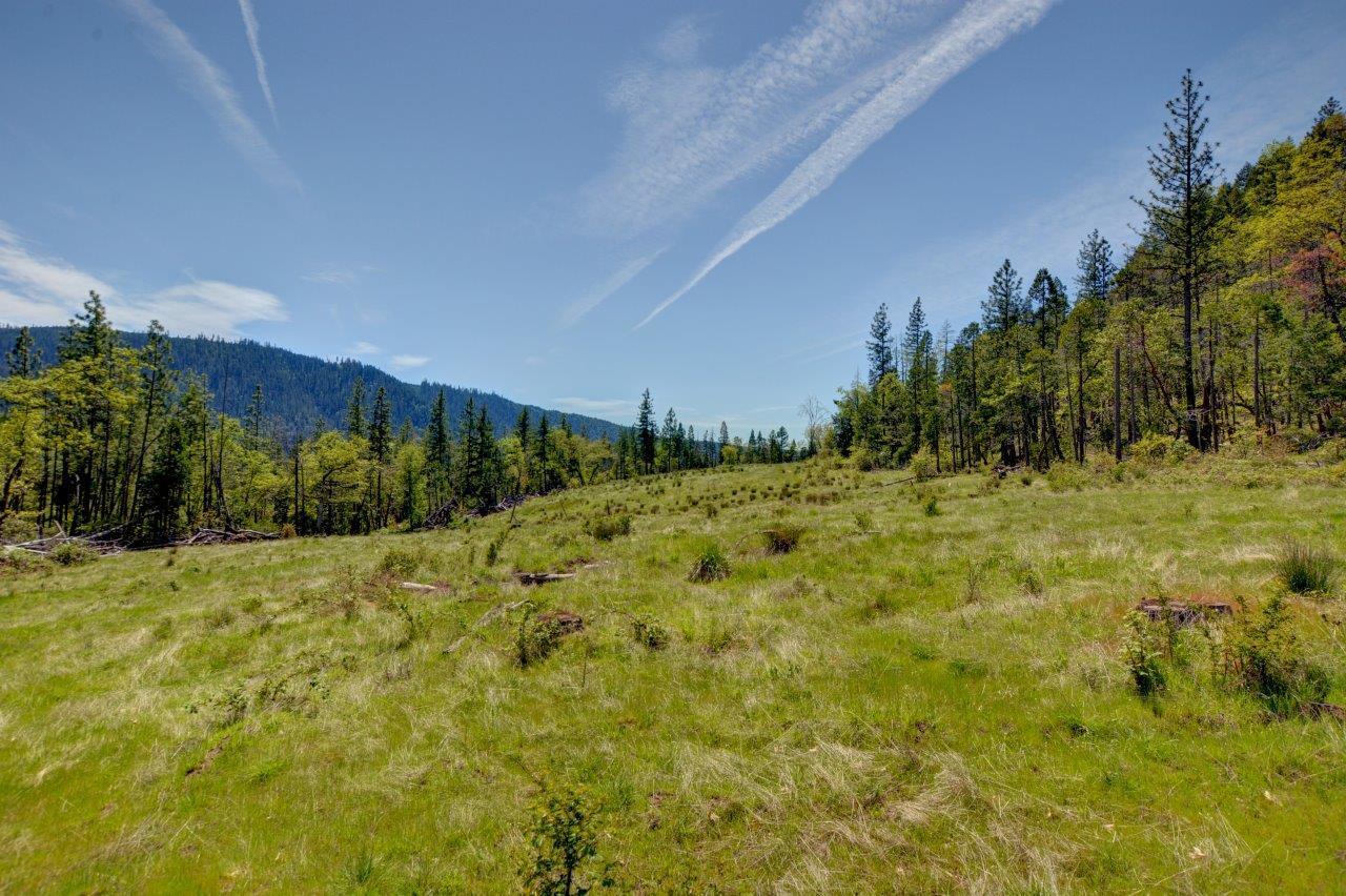 Almost 80 acres (79.28 acres) with a non-expiring Homesite Approval.  Easy access from Highway 62, yet property sits back away from the highway for seclusion and privacy. A huge amount of infrastructure already in including Electricity is in which is located at the electric gate. There is a natural spring, and water use for your home and garden is available for domestic use from either the spring or the Nye Ditch! Buyer is to do all their own due diligence with the Watermaster, Nye Ditch Irrigation, and Jackson County Planning & Building on all aspects of the property.  Fenced, gated, road/driveway access in many places and a large amount of cleared and usable land!   Views and tucked away in the beautiful community of Prospect, Oregon which is a hunting, fishing, water, and winter sport paradise with Lost Creek Lake, Mill Creek Falls, Barr Creek Falls, Pearsony Falls, the Avenue of the Boulders, the Historic Prospect Hotel and just a short drive from Crater Lake National Park!