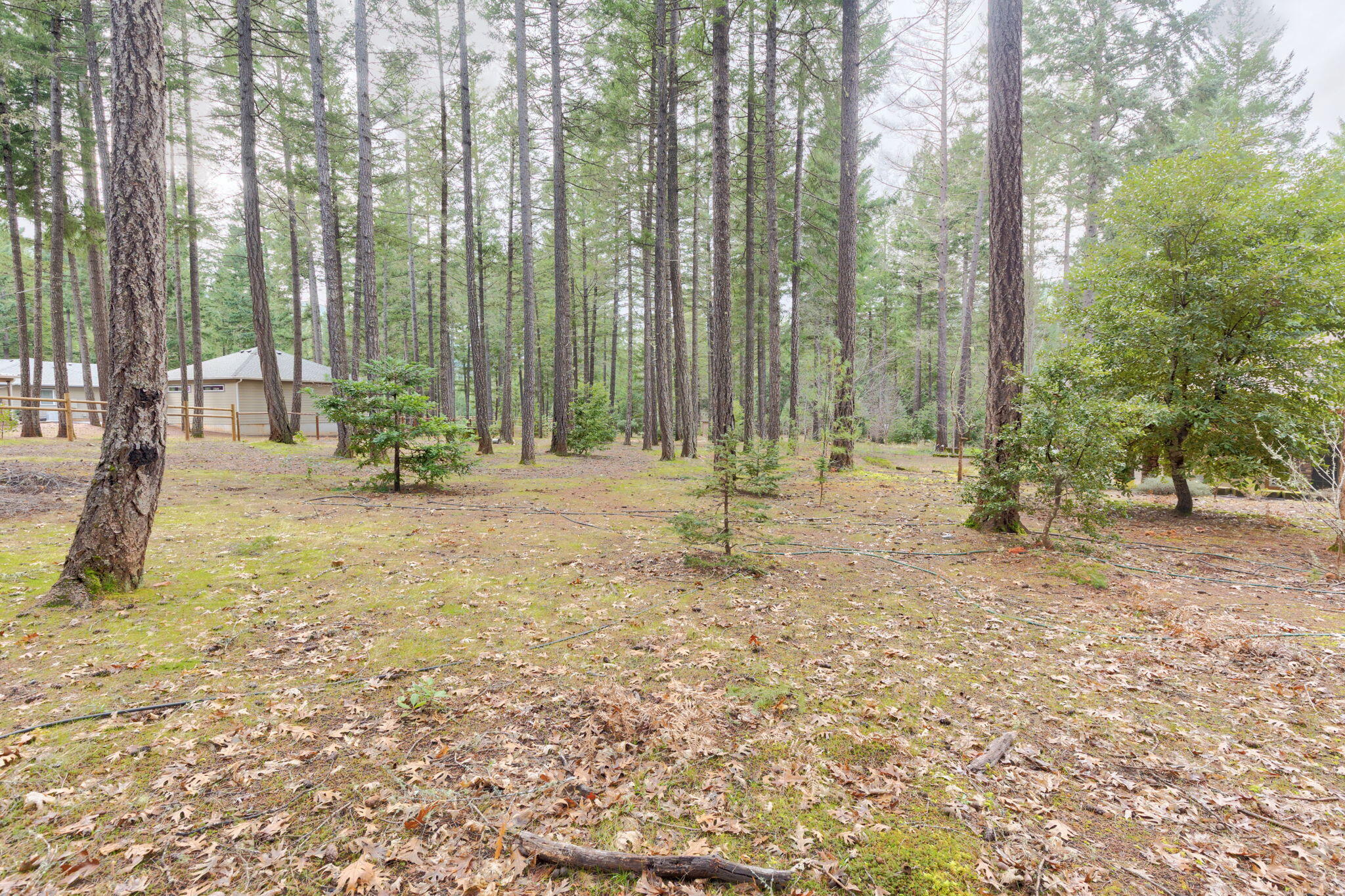 Indian Ridge Subdivision - Residential