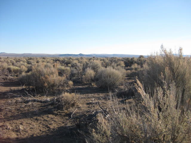 Welcome to the high desert! Here is about 5acres for you to make your own. Power is at the street. Apply for your C.U.P. and on approval build you that dream
home just out of Christmas Valley. Enjoy the beautiful Mtn. Views, Sunrises/Sunsets, the wildlife in the area (deer, elk,antelope and more). Area is served by multiple restaurants, gas station, hardware stores, Credit Union, Medical Center, EMT Services, and more. Public and private school are available in the area. Buyer should do their due diligence.
