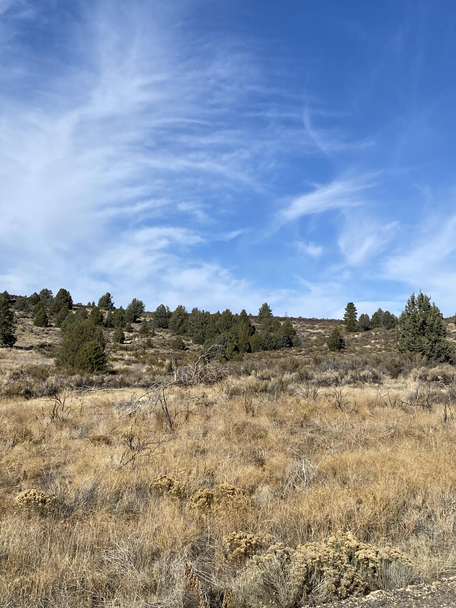 1.65 Acres with great views of the Sprague River and mountains. Zoned Rural Residential. Buyers to do any and all due diligence regarding the property, building, utilities ETC.