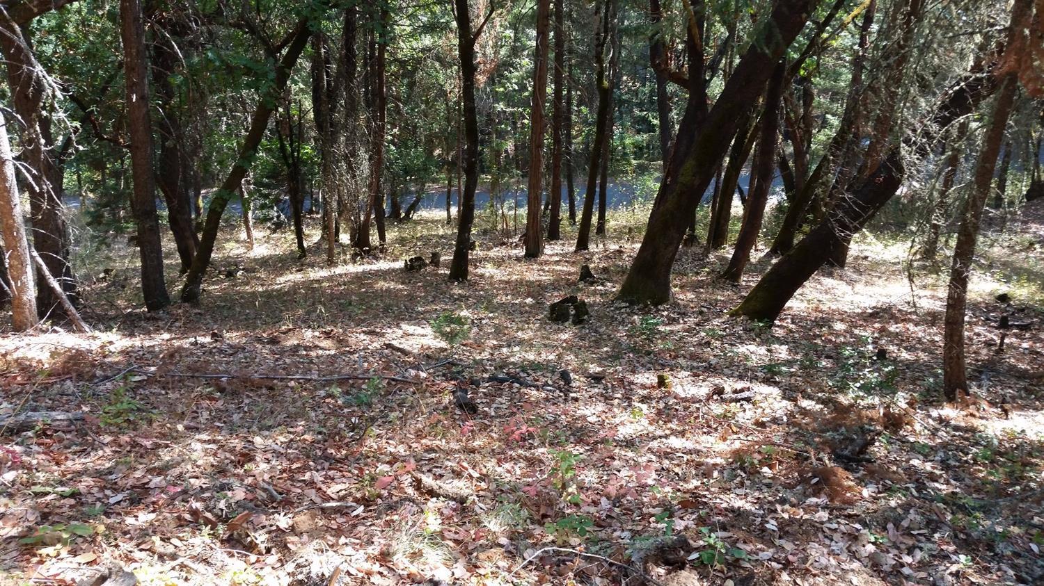 Spacious 5+/- acre building lot in a private and treed setting. Located off of a paved road and nearly a mile to the center of the historical town of Jacksonville, Oregon. The local area is known for its distinct four seasons, outdoor and cultural activities along with shopping and unrivaled medical facilities. Power is to the property line, a well has been drilled and there is approval for a standard septic system. A driveway has been cut in along with some excavation of where a house pad could be located.