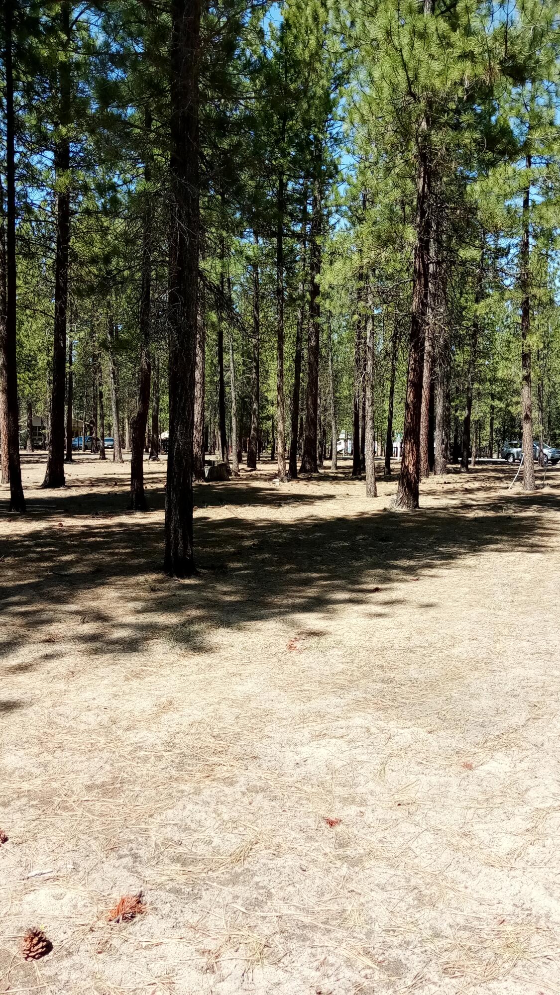 Beautiful corner lot in desirable Ponderosa Pines. Build your dream house or RV here for access to many lake, river, mountain recreational opportunities. Great community with power and water at the road. Community water company. All information about property and water can be found at Ponderosa Pines Property Owners Association website. HOA maintains roads and plows snow in Winter.  Buyer to take all due diligence in researching property development.Home, shop and 1.02 acres next door are also for sale.  CC&R's allow 2 horses and fences. Great opportunity!