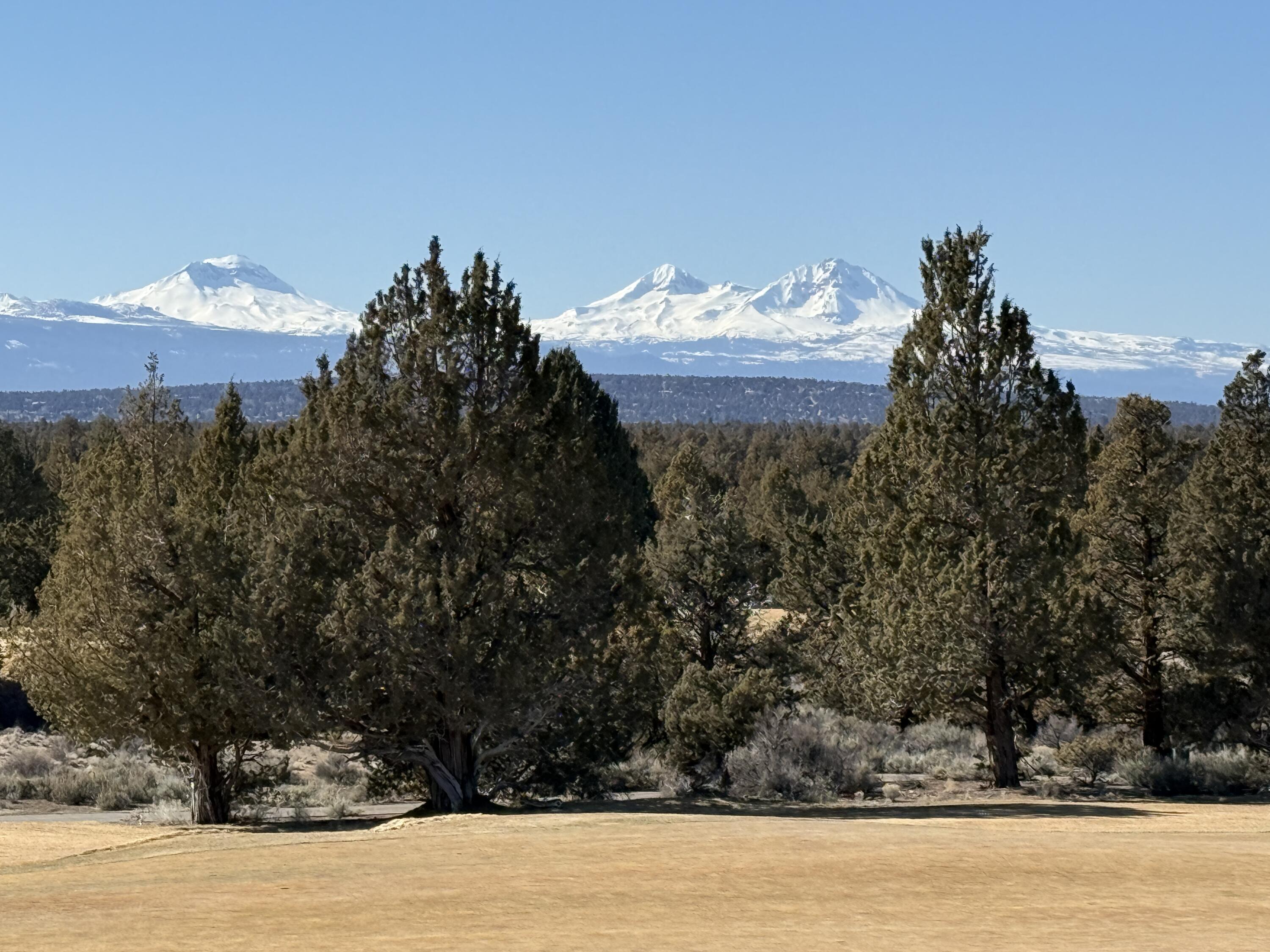 Pronghorn - Residential
