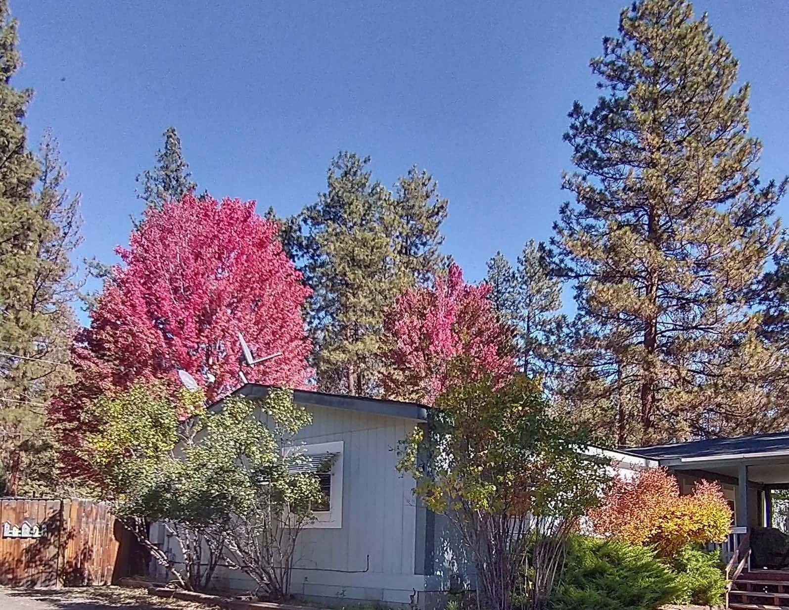 Great 3 bed/2 bath manufactured home that sits on 2.94 acres. Home features large rooms, newer composition roof, newer double pane windows, a 24X36 shop with concrete floor. Well house with room for storage, additional storage shed, tool shed, lots of room for RV parking. Mature fruit trees, chicken coop, garden area and seasonal reservoir view from the large deck. Property is fully fenced with cedar and chain linked fencing. Level usable acreage is suitable for additional buildings, horses and additional animals. This property is located close to Hwy 140 for an easy drive into Klamath Falls. Great property, must see.
