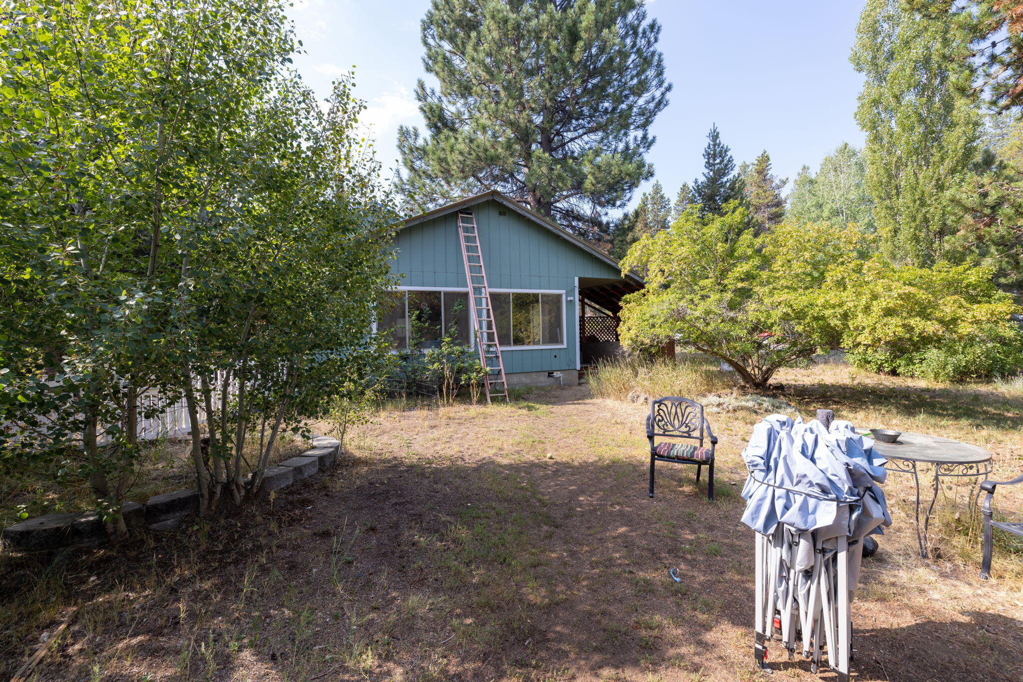 Tall Pines - Residential