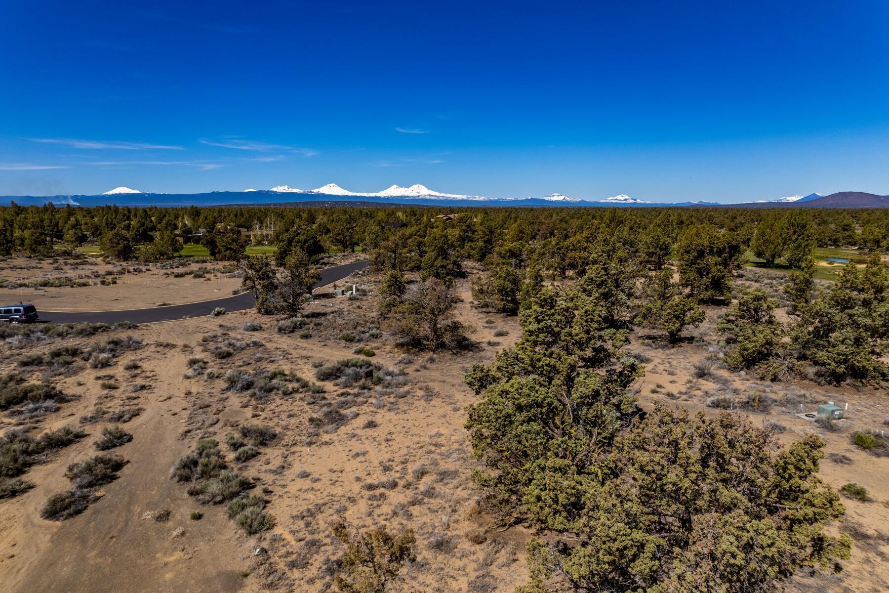 Pronghorn - Land