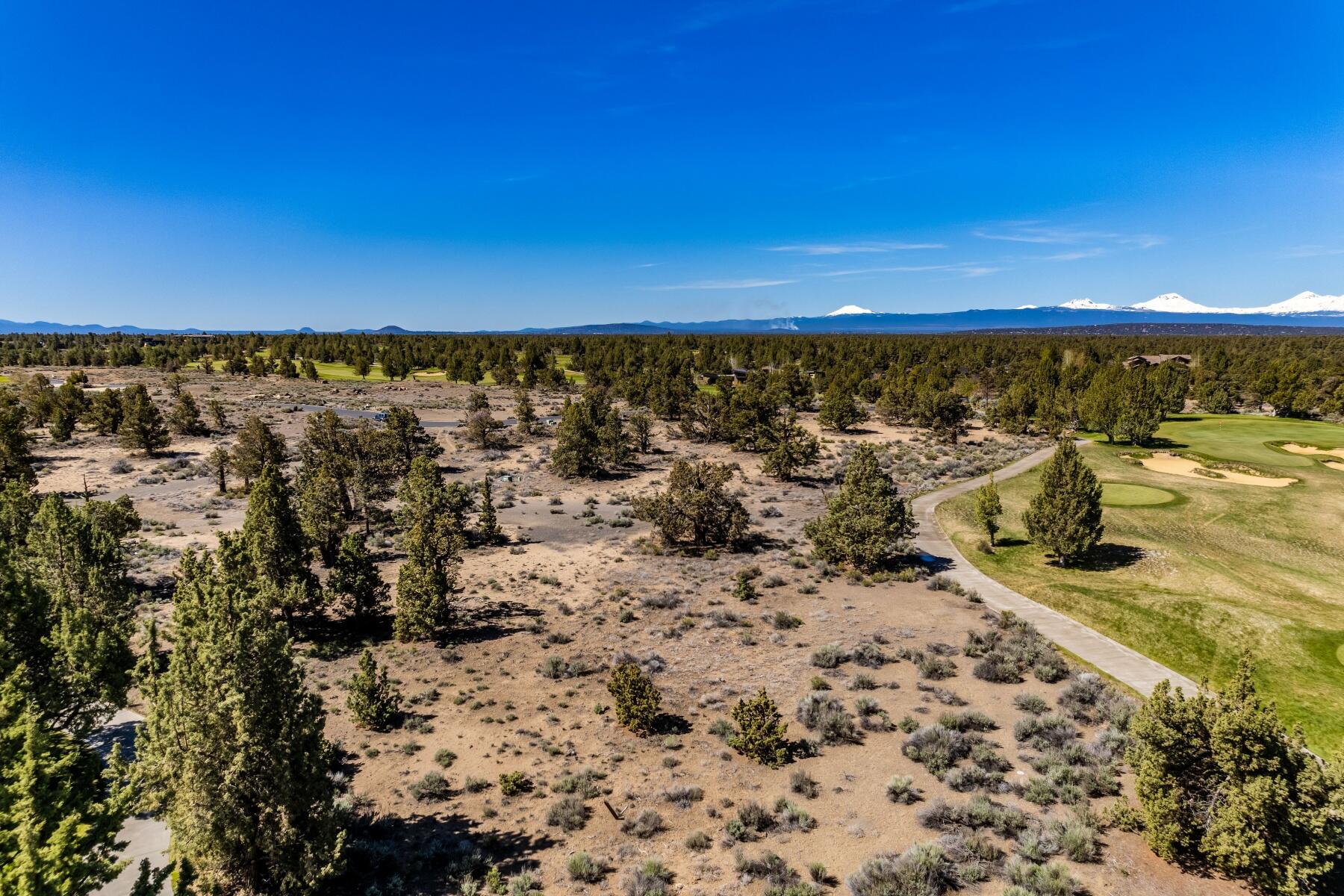 Pronghorn - Land