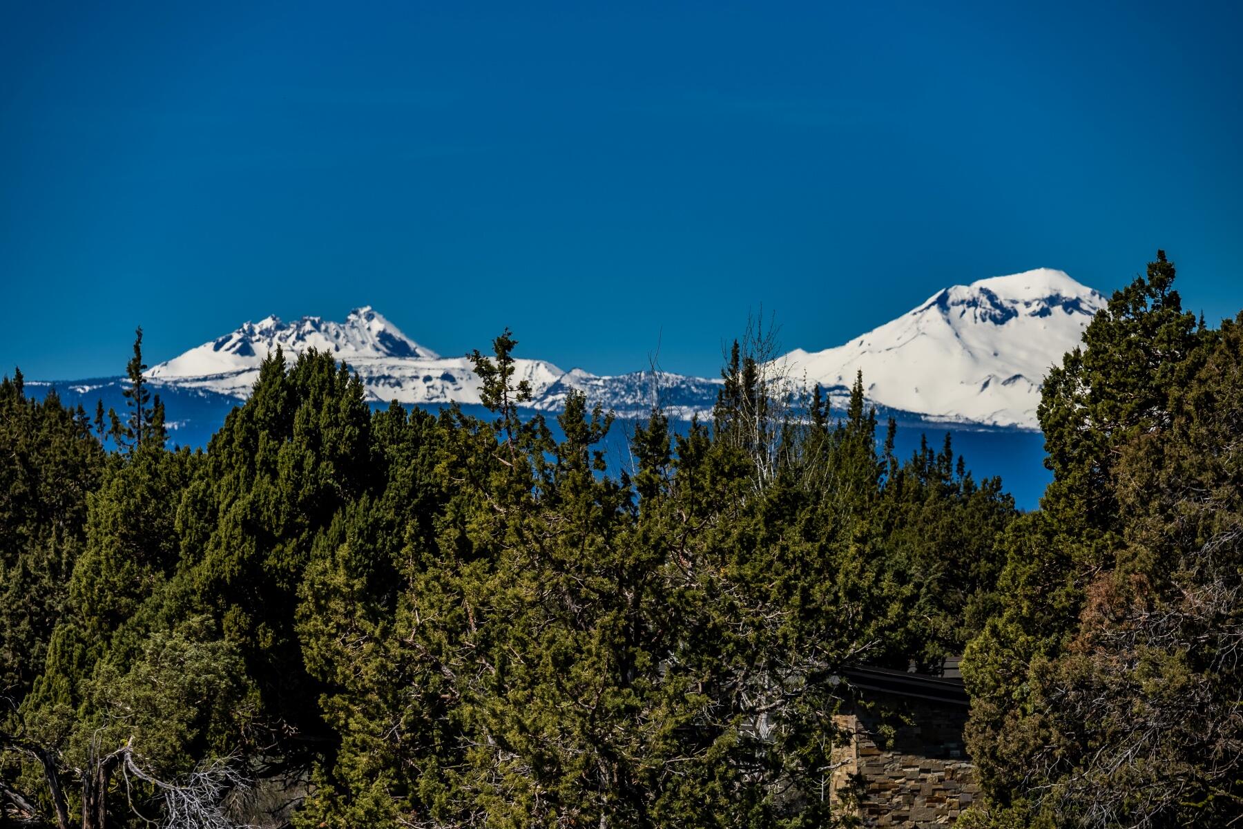 Pronghorn - Land