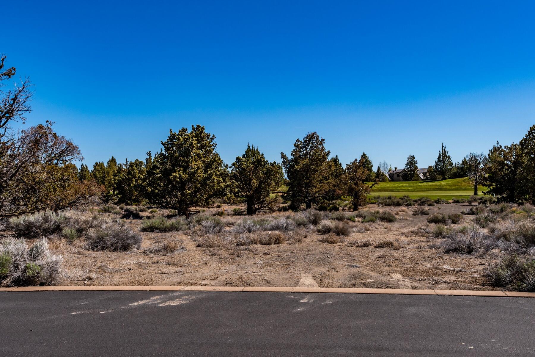 Pronghorn - Land