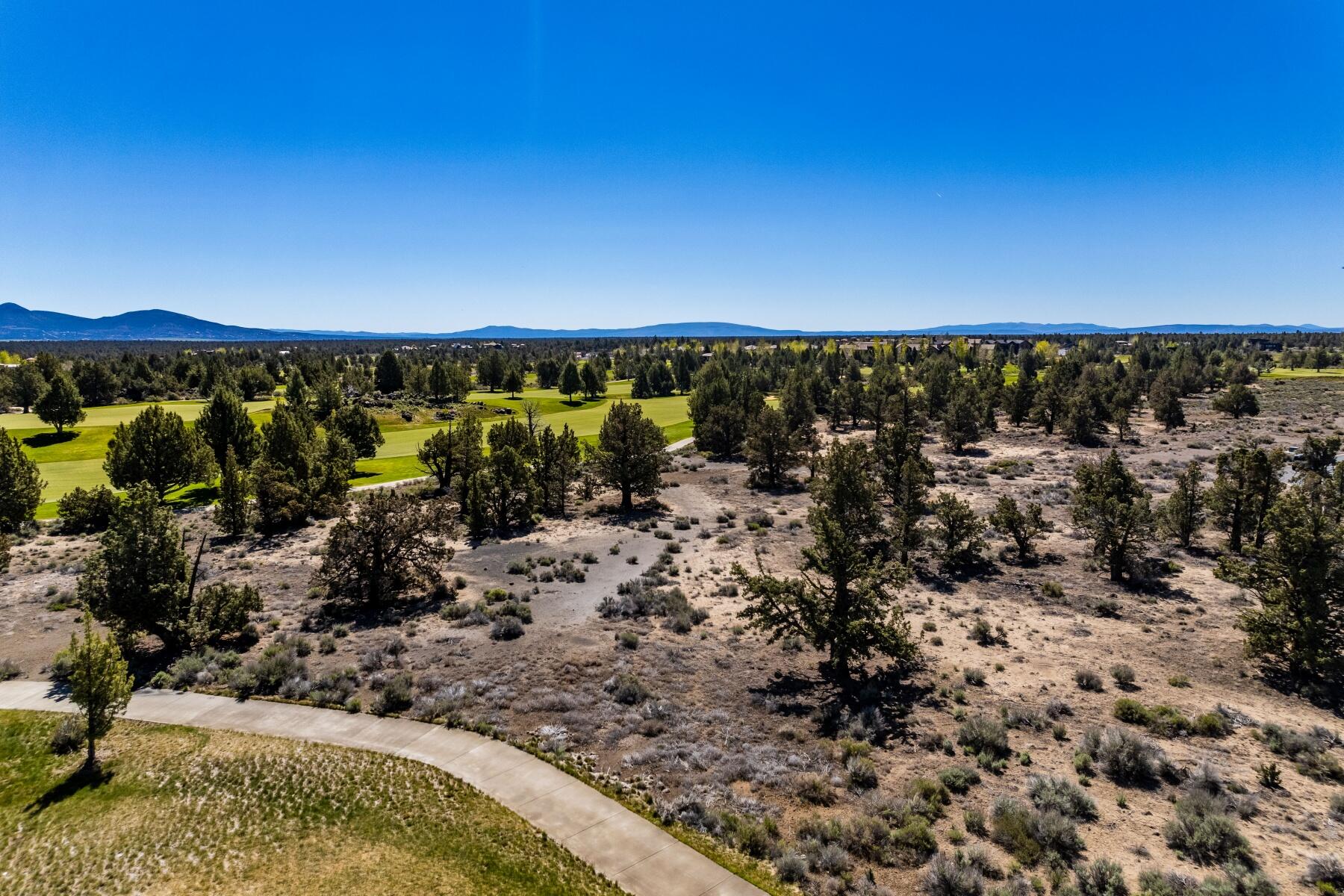 Pronghorn - Land