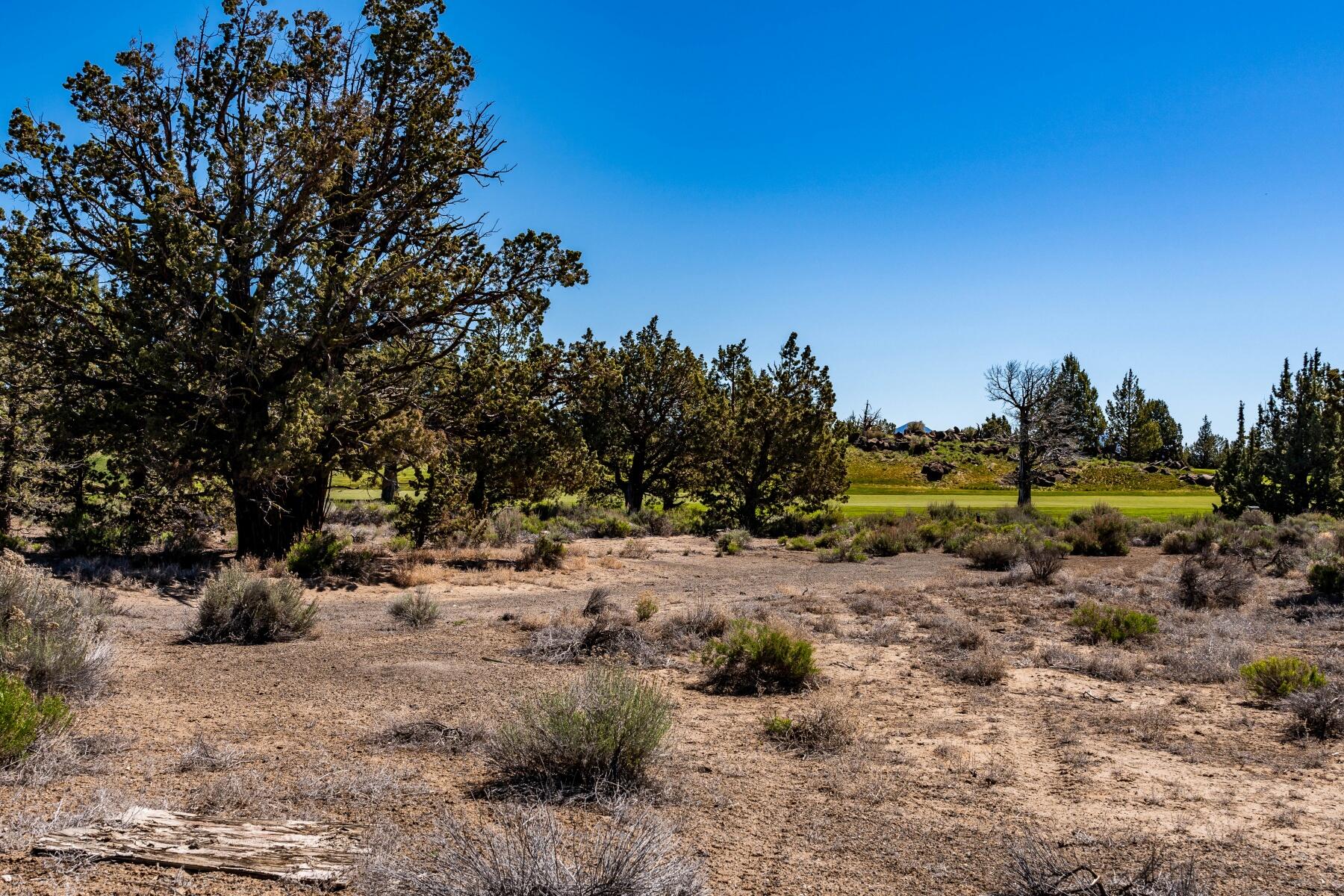 Pronghorn - Land