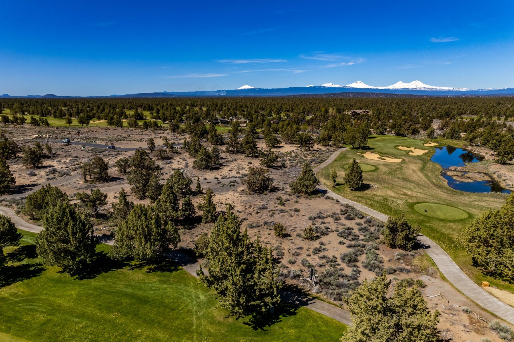 Pronghorn - Land
