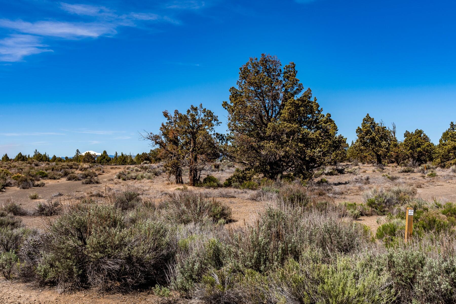 Pronghorn - Land
