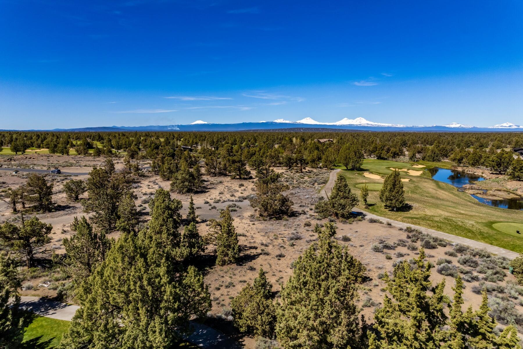 Pronghorn - Land