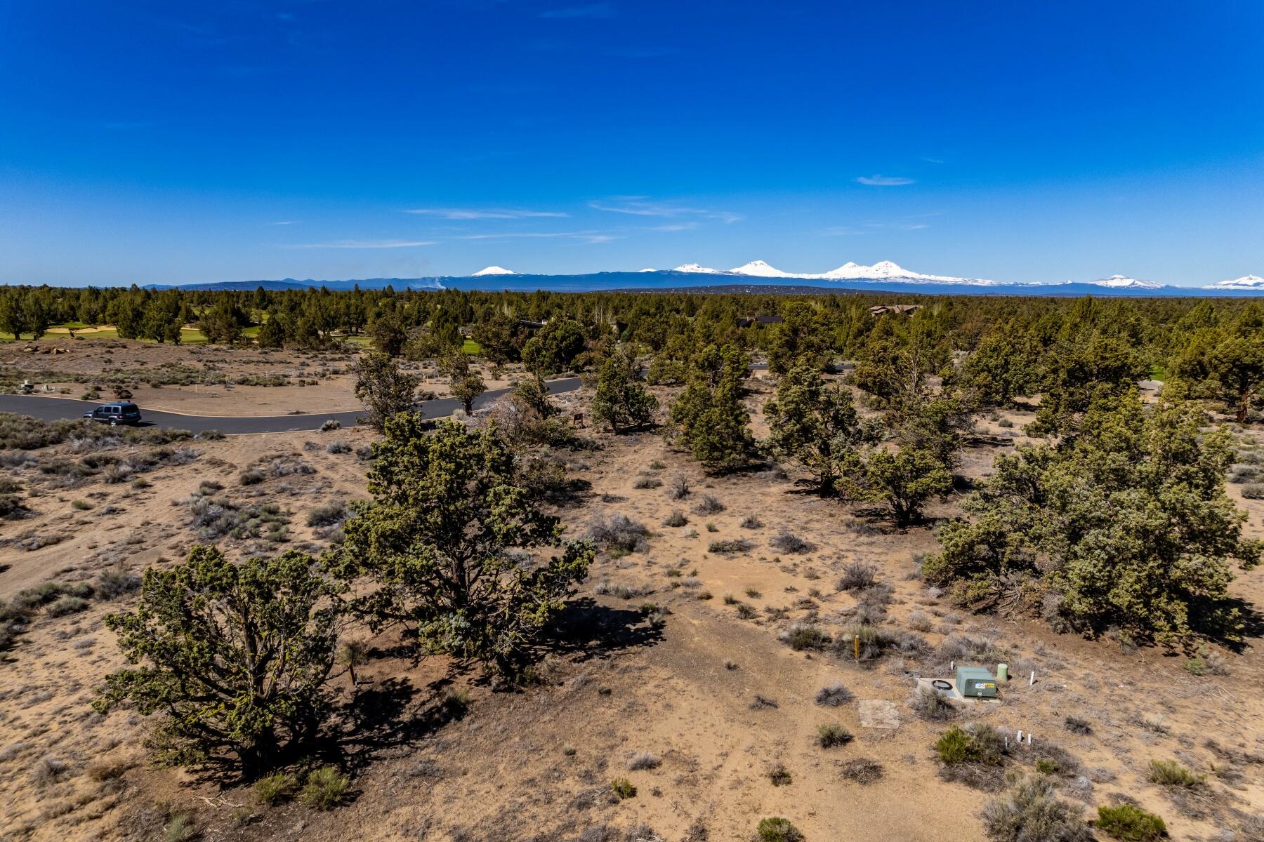 Pronghorn - Land