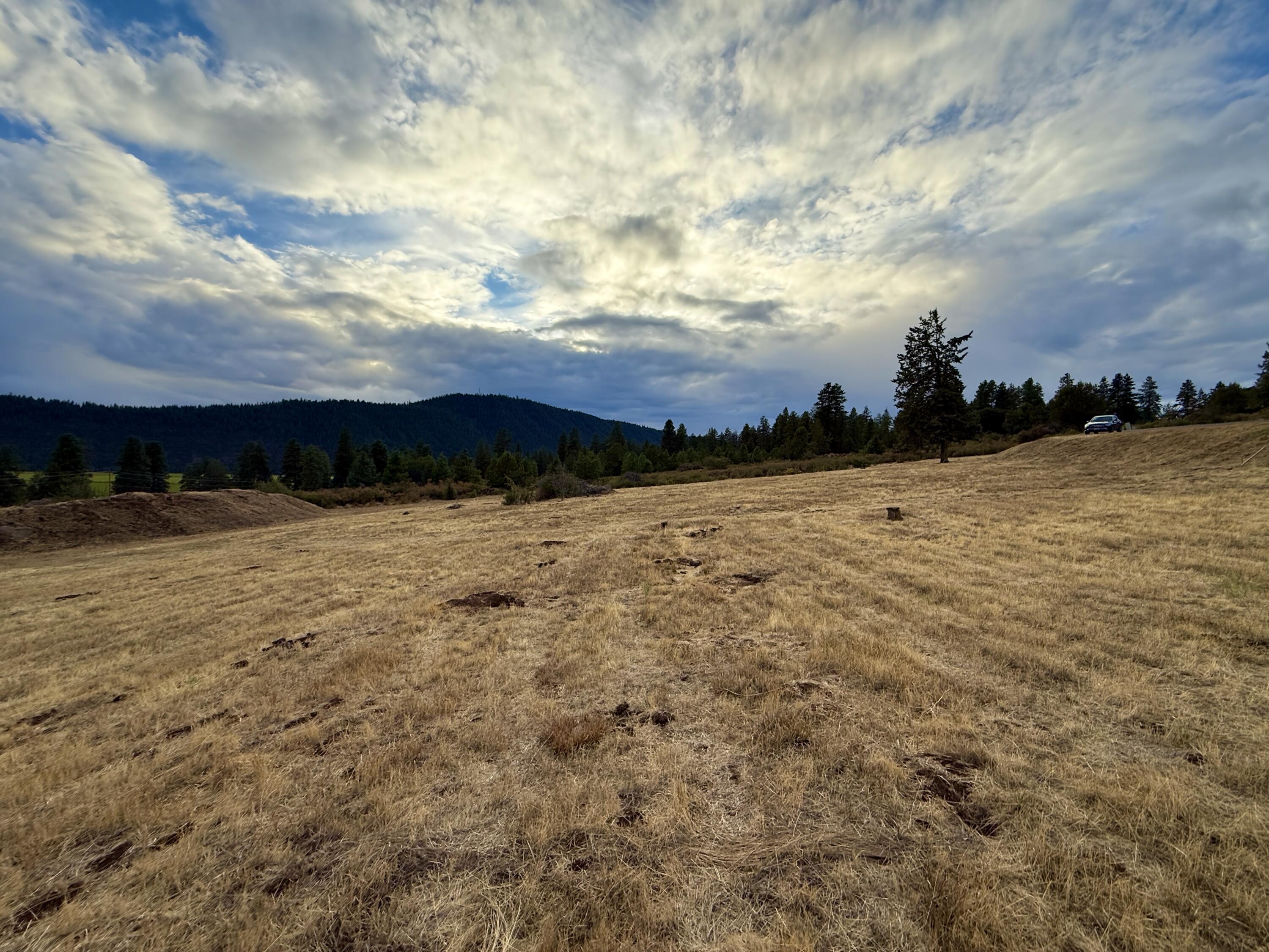 Running YResort - Land