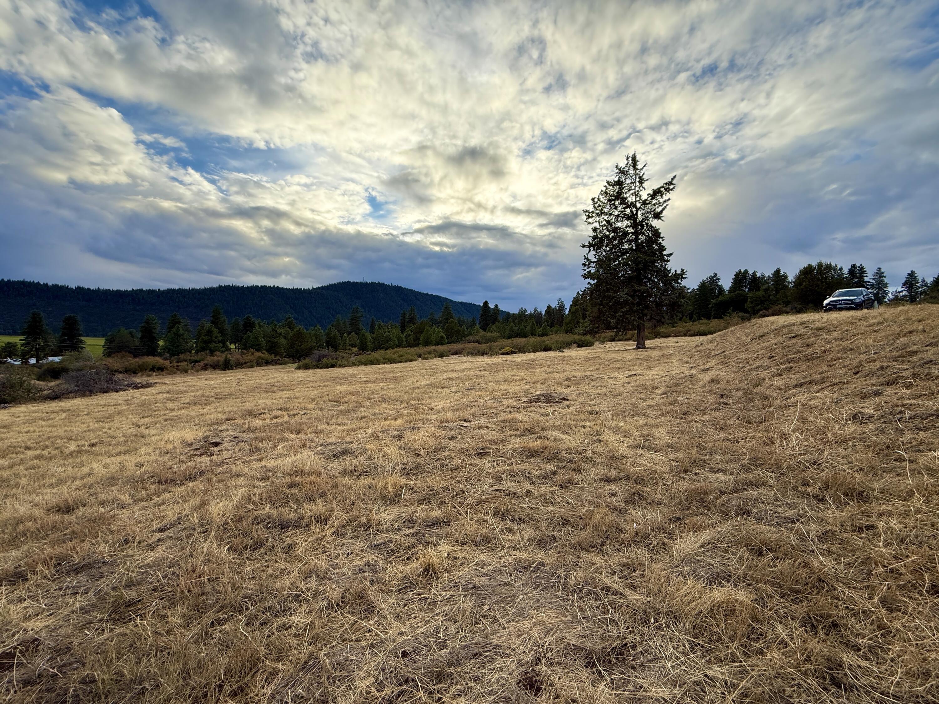 Running YResort - Land