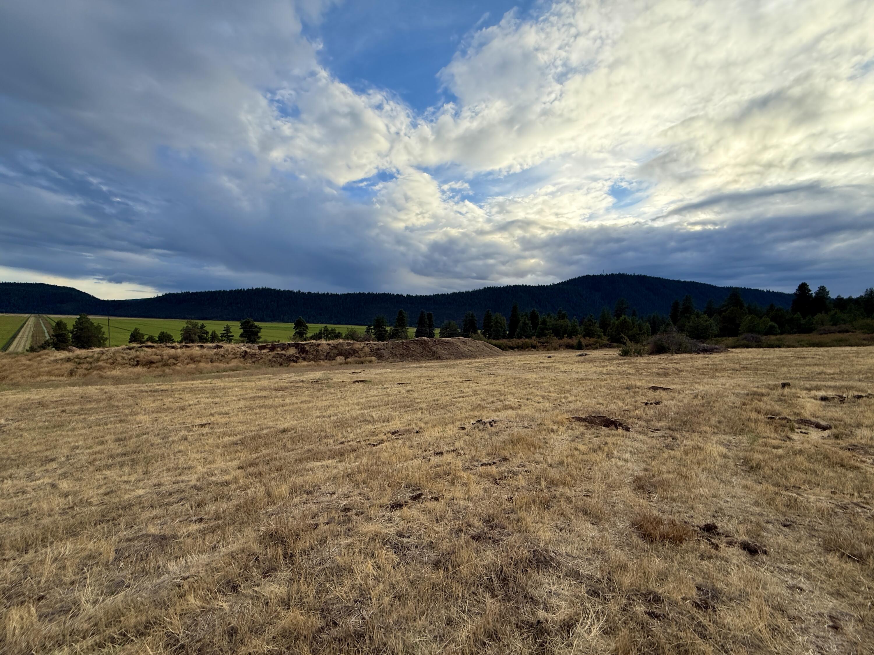 Running YResort - Land