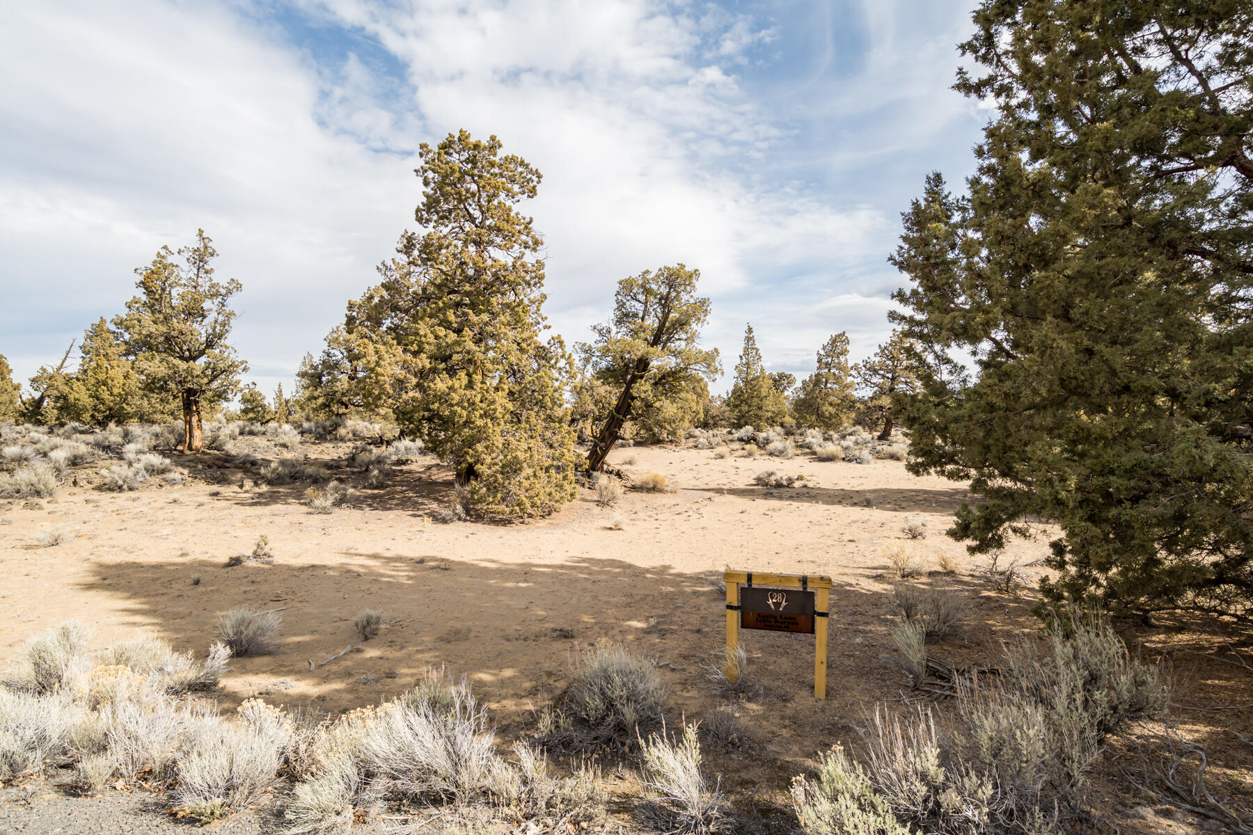 Pronghorn - Land