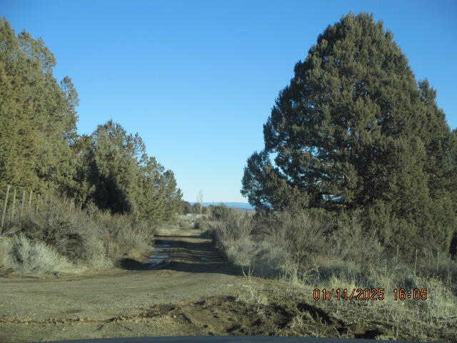 Nimrod River Park - Land
