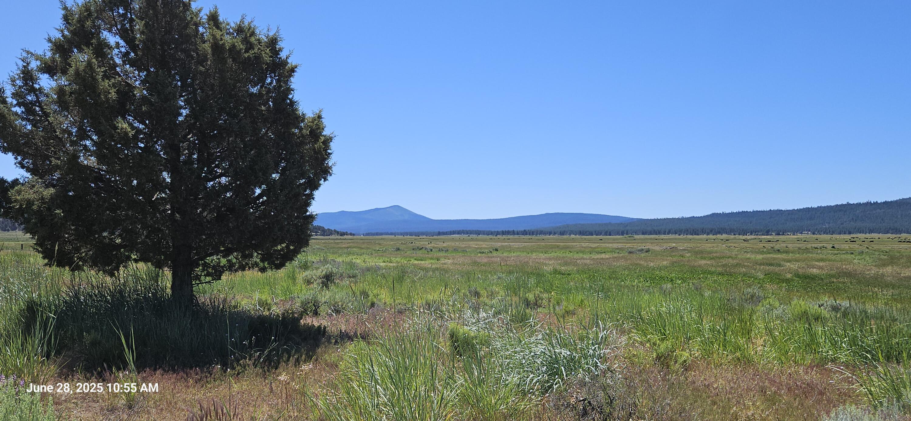 Nimrod River Park - Land